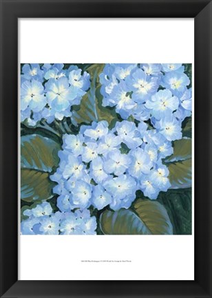 Framed Blue Hydrangeas I Print