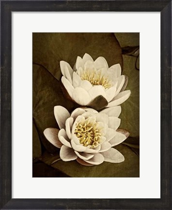 Framed Lily Pad Duo Print