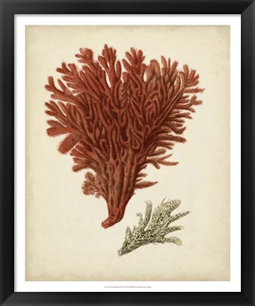 Framed Antique Red Coral V Print