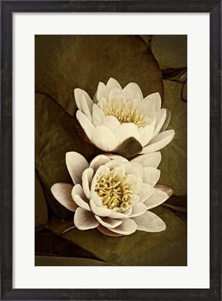 Framed Lily Pad Duo I Print