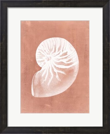 Framed Sealife on Coral V Print