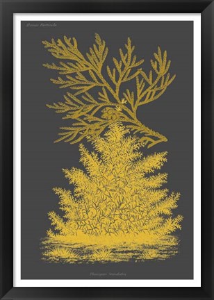 Framed Trees &amp; Leaves II Print
