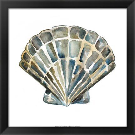 Framed Aquarelle Shells IV Print