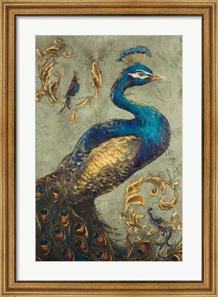 Framed Peacock on Sage I Print