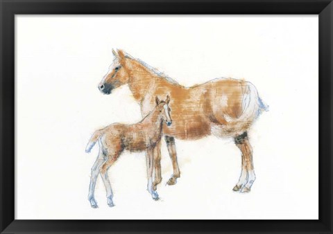 Framed Horse and Colt Print