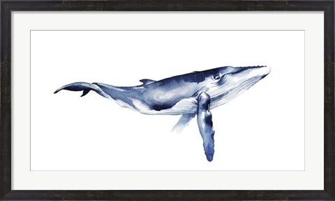 Framed Whale Portrait I Print