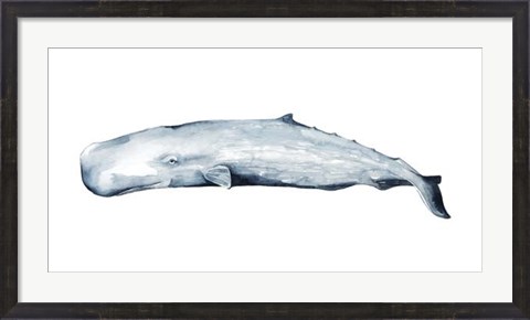 Framed Whale Portrait II Print