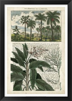 Framed Journal of the Tropics I Print