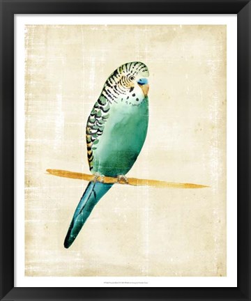 Framed Fanciful Birds II Print