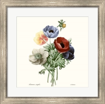 Framed Blushing Bouquet I Print