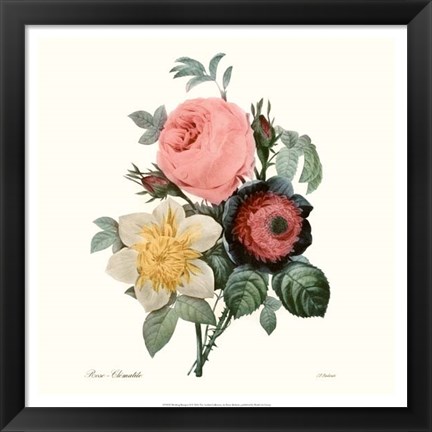 Framed Blushing Bouquet II Print