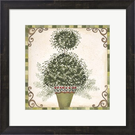 Framed Topiary I Print