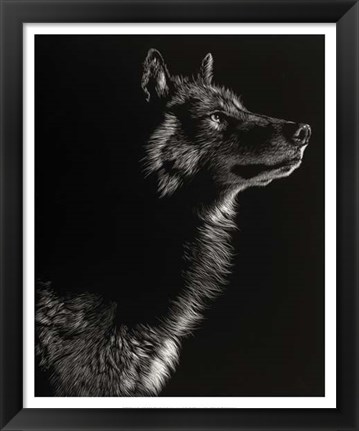 Framed Scratchboard Wolf II Print