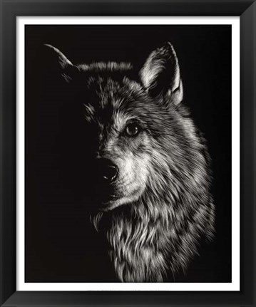 Framed Scratchboard Wolf III Print