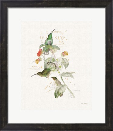 Framed Colorful Hummingbirds III Print