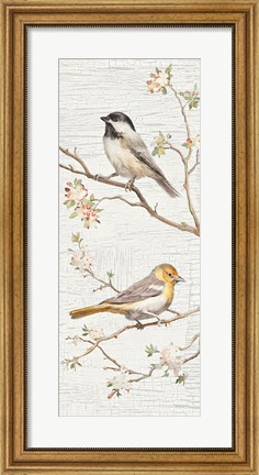 Framed Vintage Birds Panel II Print