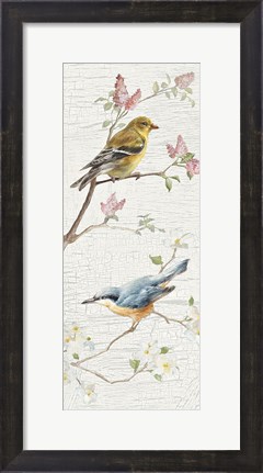 Framed Vintage Birds Panel I Print