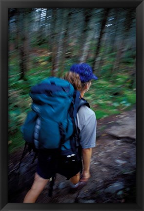 Framed Backpacking on Franconia Ridge Trail, Boreal Forest, New Hampshire Print