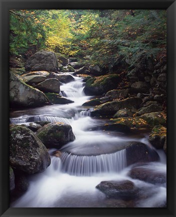 Framed Gordon Water Falls, Appalachia, White Mountains, New Hampshire Print