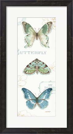 Framed My Greenhouse Butterflies VI Print