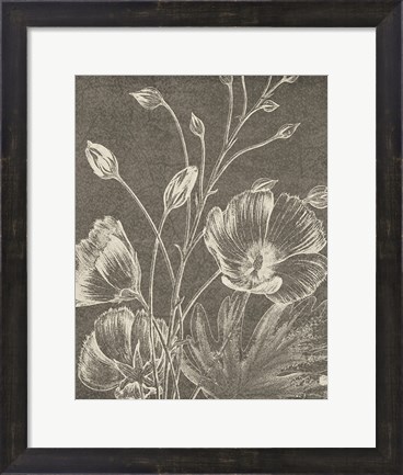 Framed Botanical Beauty Chalk IX Crop Print