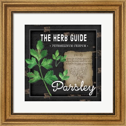 Framed Herb Guide Parsley Print
