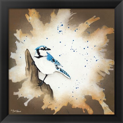 Framed Weathered Friends - Blue Jay Print