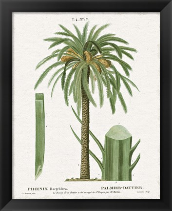 Framed Island Botanicals II Print