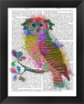 Framed Rainbow Splash Owl Print