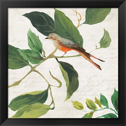 Framed Singing Bird I Print