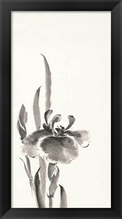 Framed Japanese Iris II Print