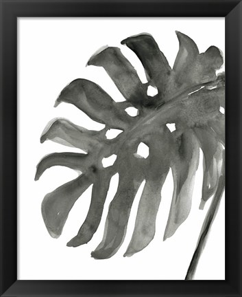 Framed Tropical Palm IV BW Print