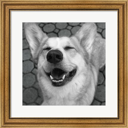 Framed Smile and the World Smiles with You Crop Dark Print