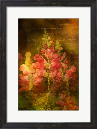 Framed Snapdragon Twilight I Print