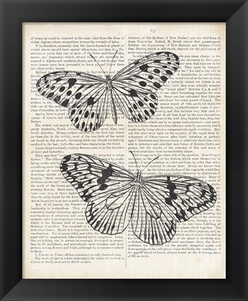 Framed Vintage Butterflies on Newsprint Print