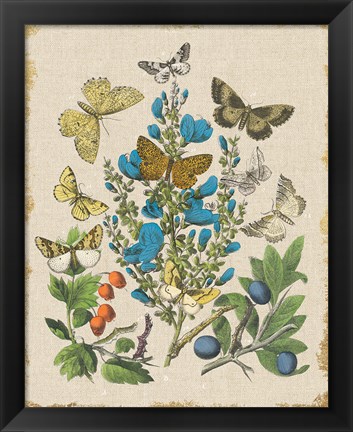 Framed Butterfly Bouquet II Linen Print