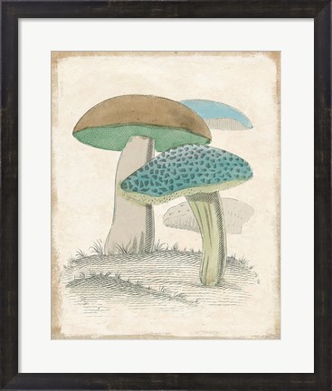 Framed Funghi Italiani Mushrooms Print