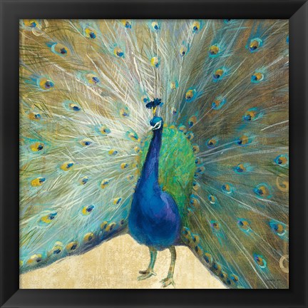 Framed Blue Peacock Cream Print