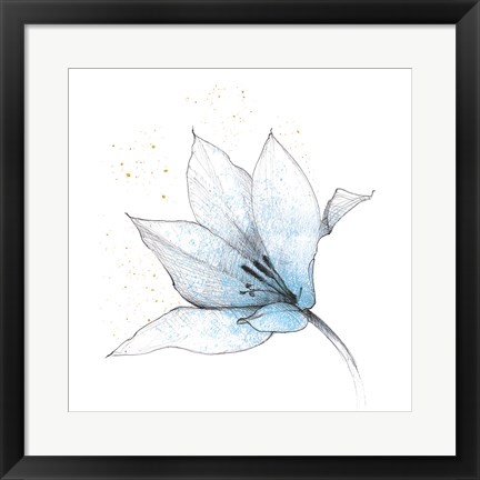 Framed Blue Graphite Flower IX Print