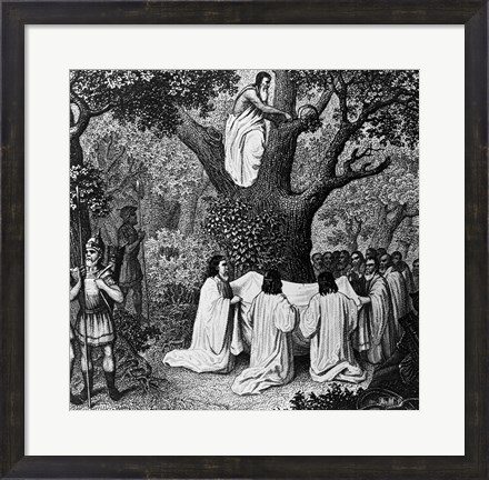 Framed Illustration Of Druid Priests Print