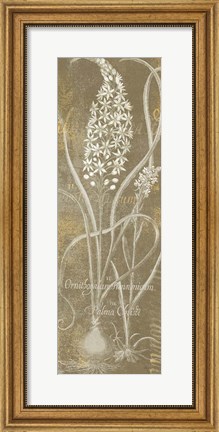Framed Flower Lines III Print