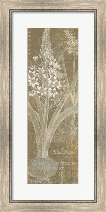 Framed Flower Lines II Print