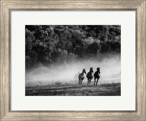 Framed Horse country Print