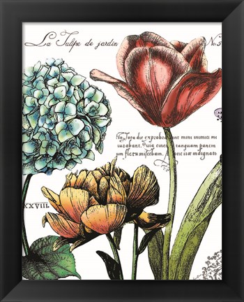 Framed Botanical Postcard Color IV Print