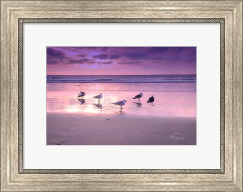 Framed Seagull Beach I Print