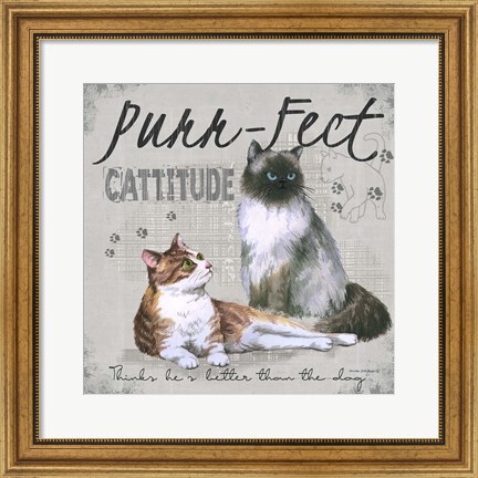 Framed Cattitude Print