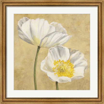 Framed Poppies on Gold II Print