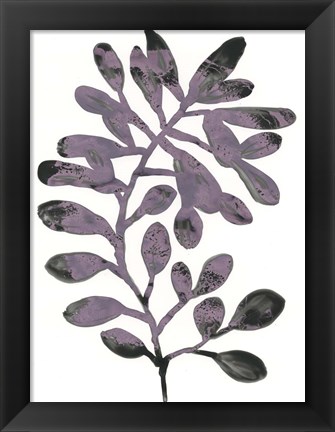 Framed Foliage Fossil VIII Print