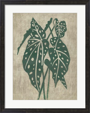 Framed Vintage Greenery II Print