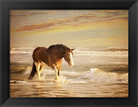 Framed Sunkissed Horses V Print